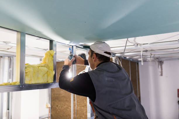 Best Wall Insulation Contractor  in Mulberry, IN