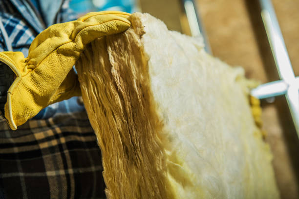 Best Insulation Replacement Services  in Mulberry, IN