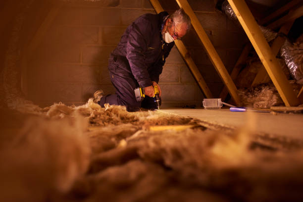 Best Attic Insulation Installation  in Mulberry, IN